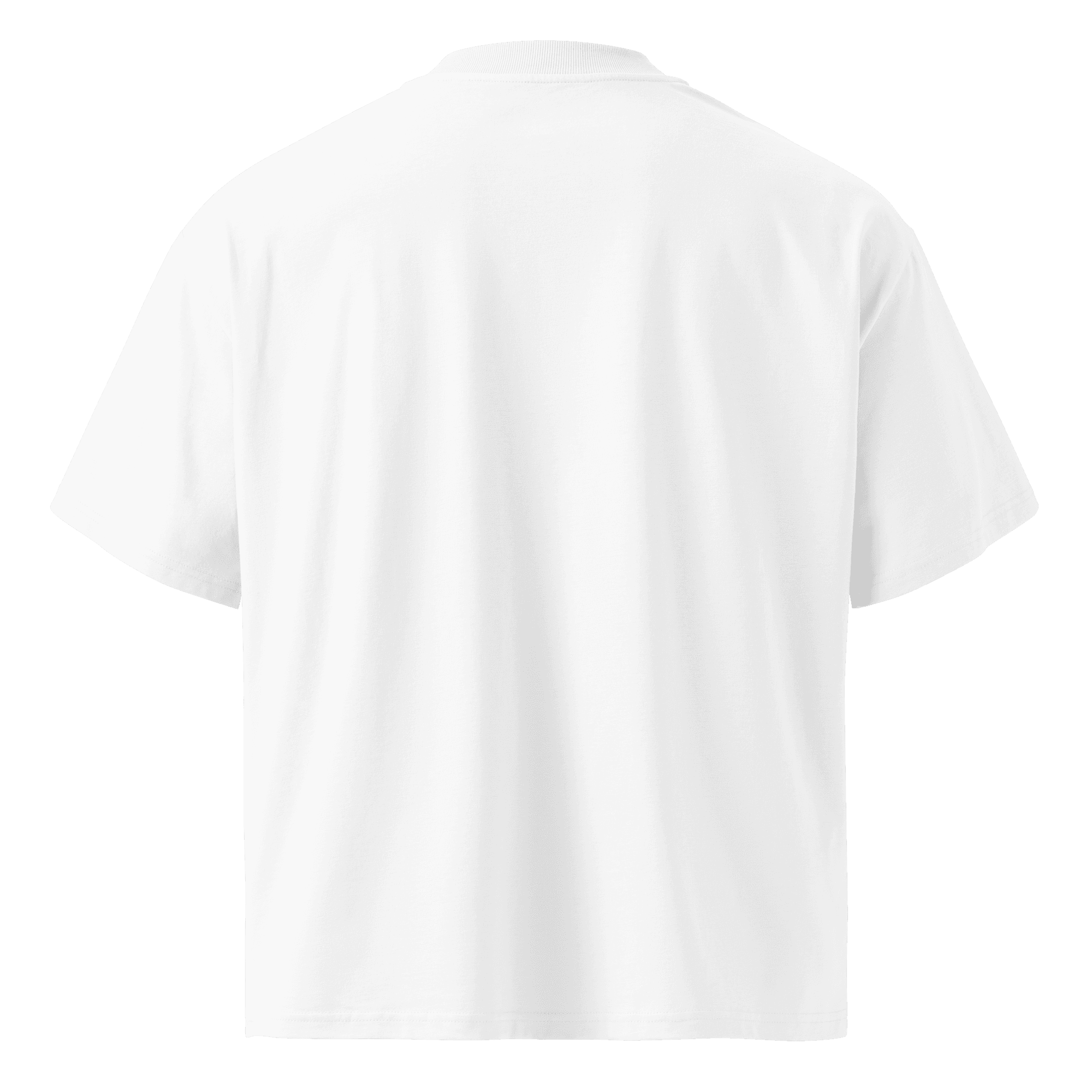 Oq Bo'rilar 2026 wolf football tee — white, back view